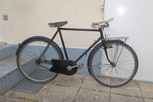 velo de Guy